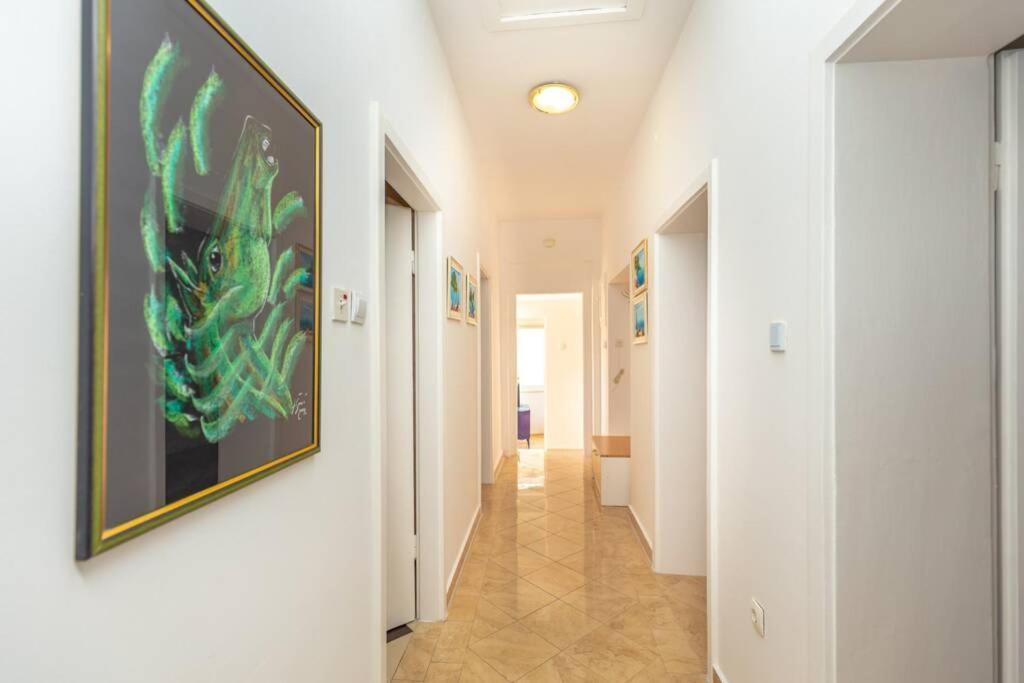 Apartment Art Gruz 杜布罗夫尼克 外观 照片